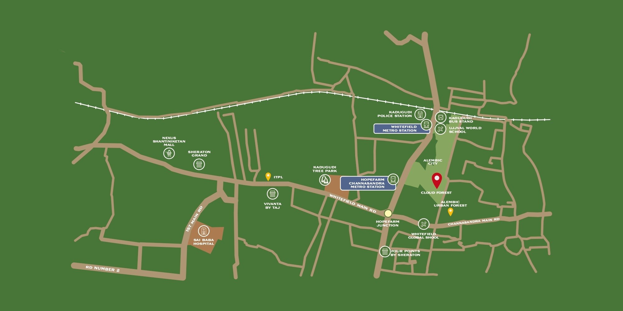 Alembic Cloud Forest Location Image