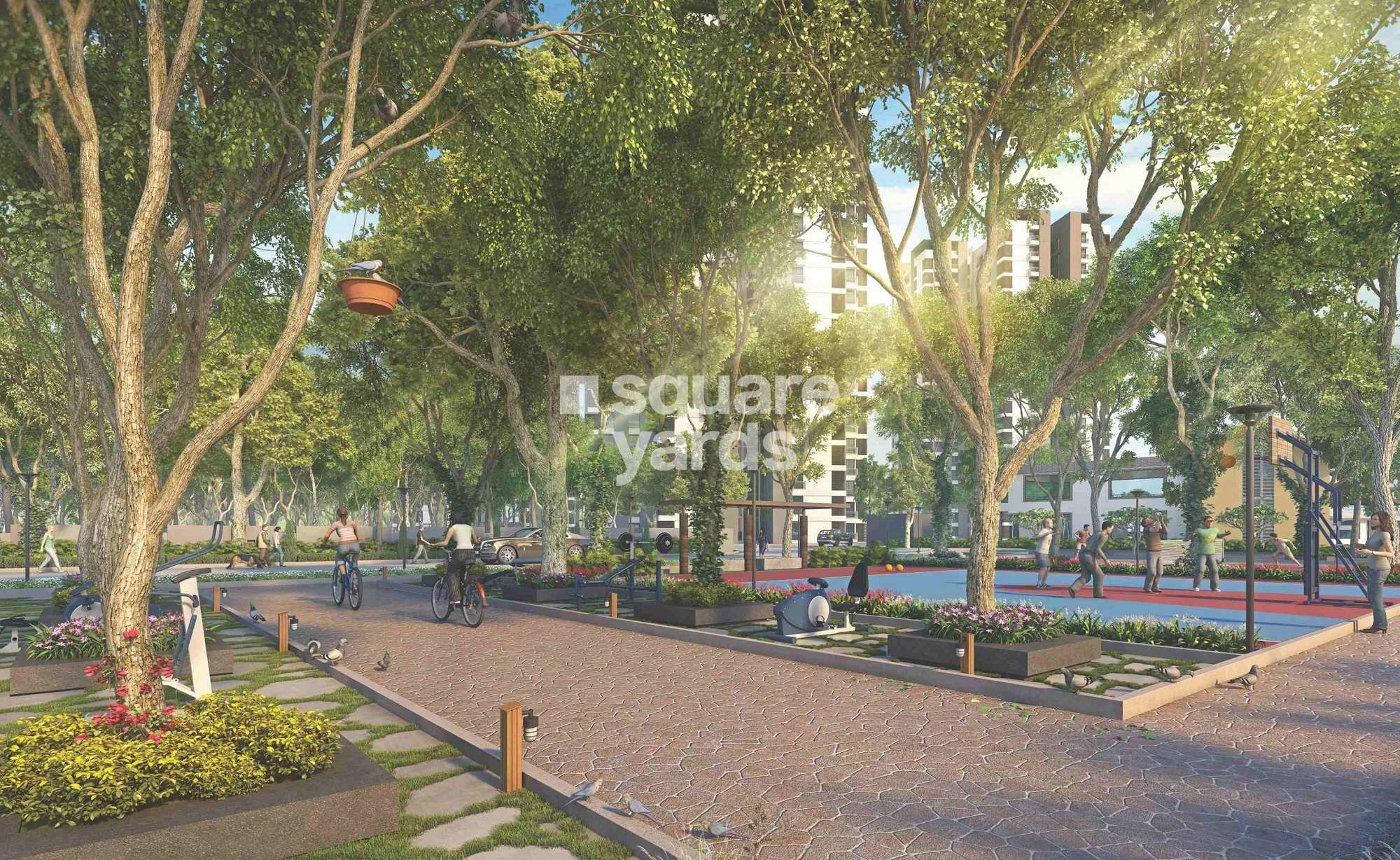 alembic urban forest project amenities features1 1228