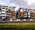 Amberstone Elanza