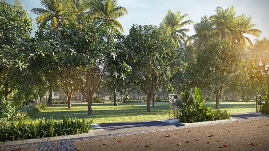 Ameliorate Hara North One