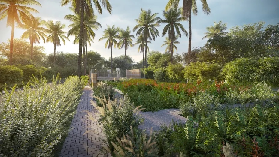 Ameliorate Hara North One