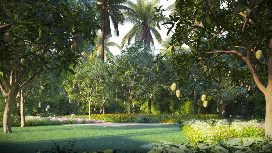 Ameliorate Hara North One