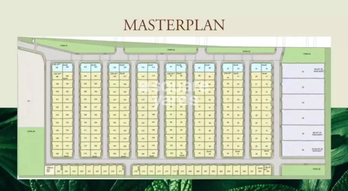 Ameliorate Hara North One