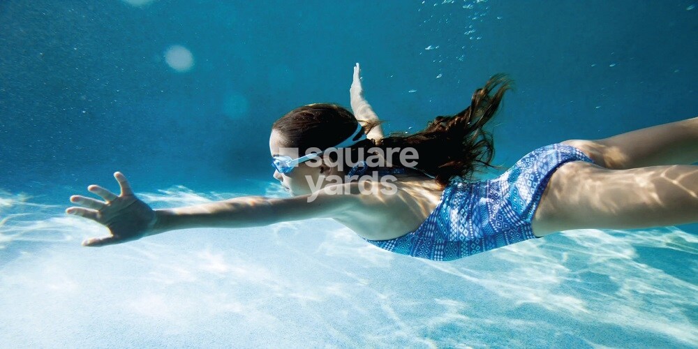 Amigo Amparo Amenities-Features 4