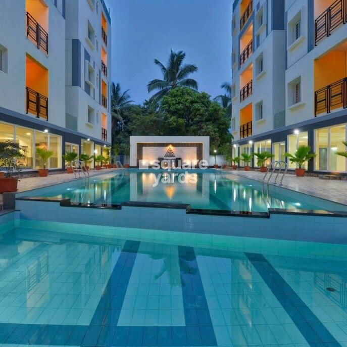 Representative image as actual visual unavailable for Anand Somu Pristine