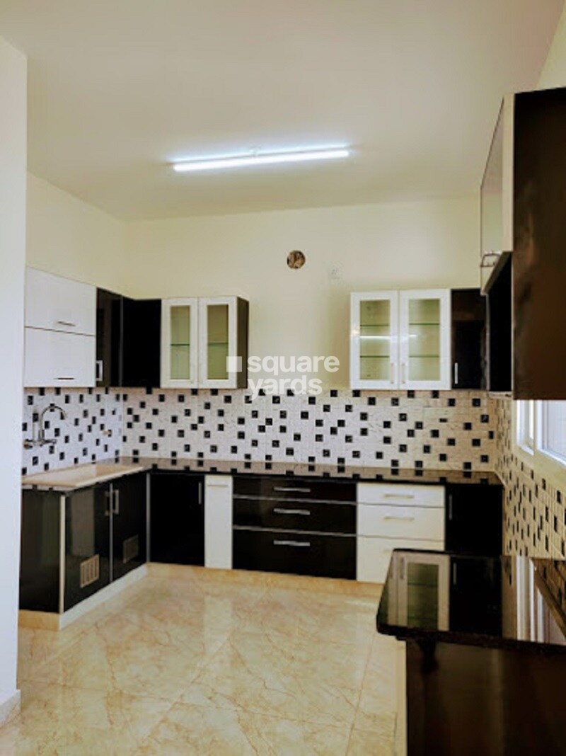 Representative image as actual visual unavailable for Anand Somu Pristine