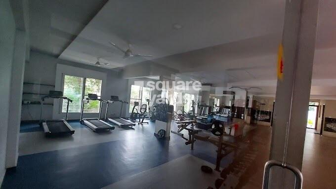 Representative image as actual visual unavailable for Anand Somu Pristine