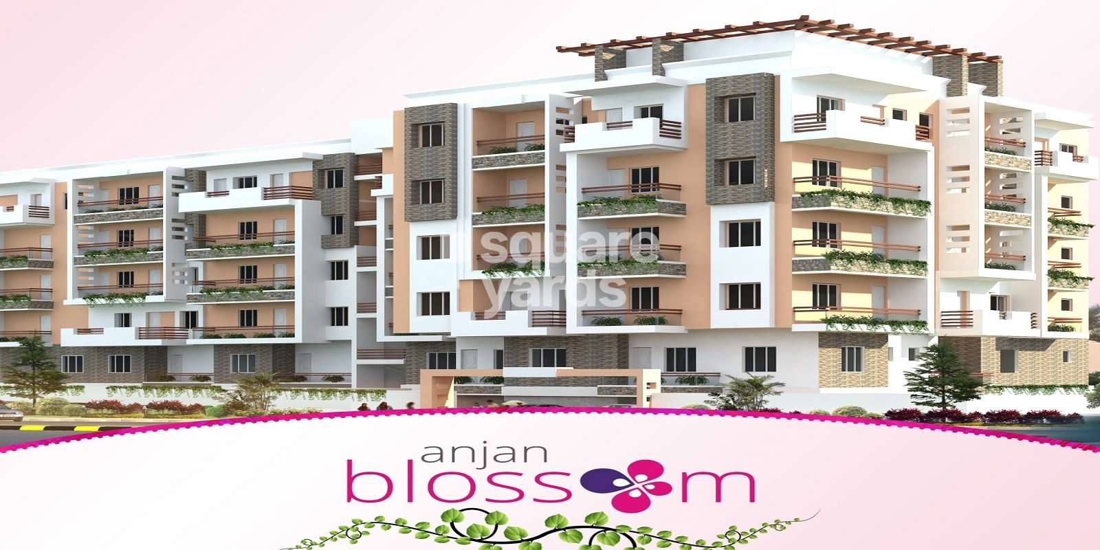 Anjan Blossom Cover Image