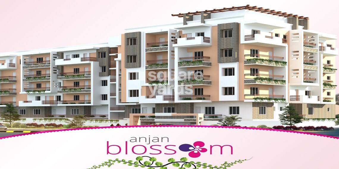 Anjan Blossom Cover Image