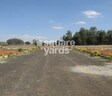 Annciya Homes