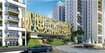 Ardente Pine Grove Amenities Features
