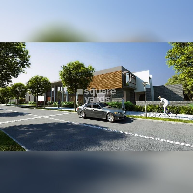 Around The Mangoes Amenities-Features 1