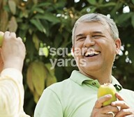 Around The Mangoes Amenities-Features