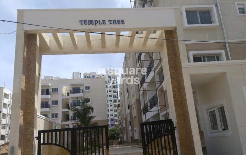 ARV Infra Temple Tree