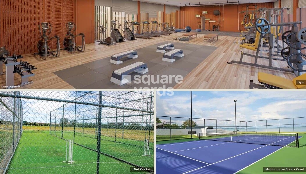 Arvind Forest Trails