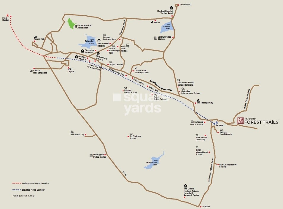 Arvind Forest Trails