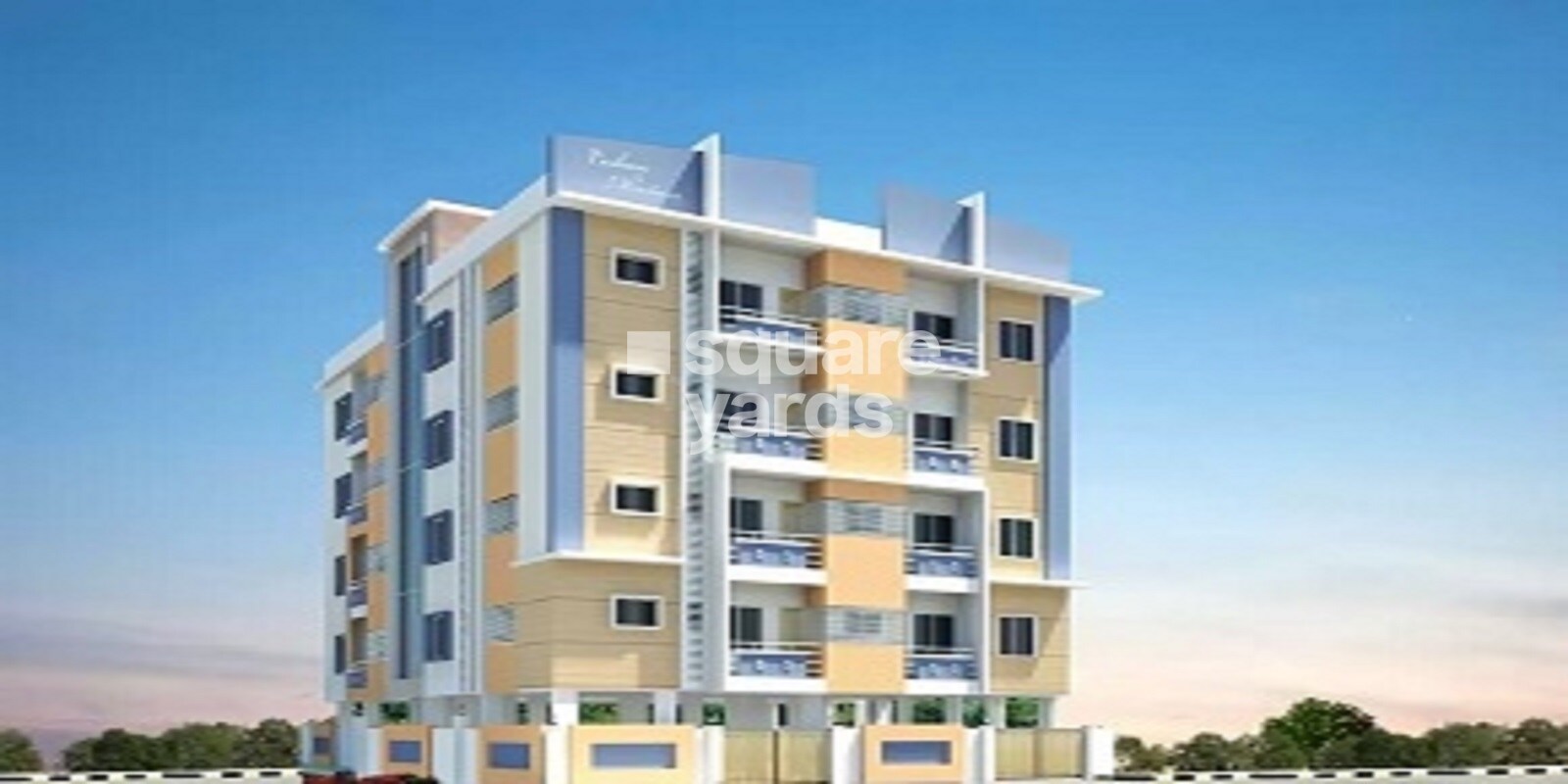 Asrithas Eeshan NZ Meadow