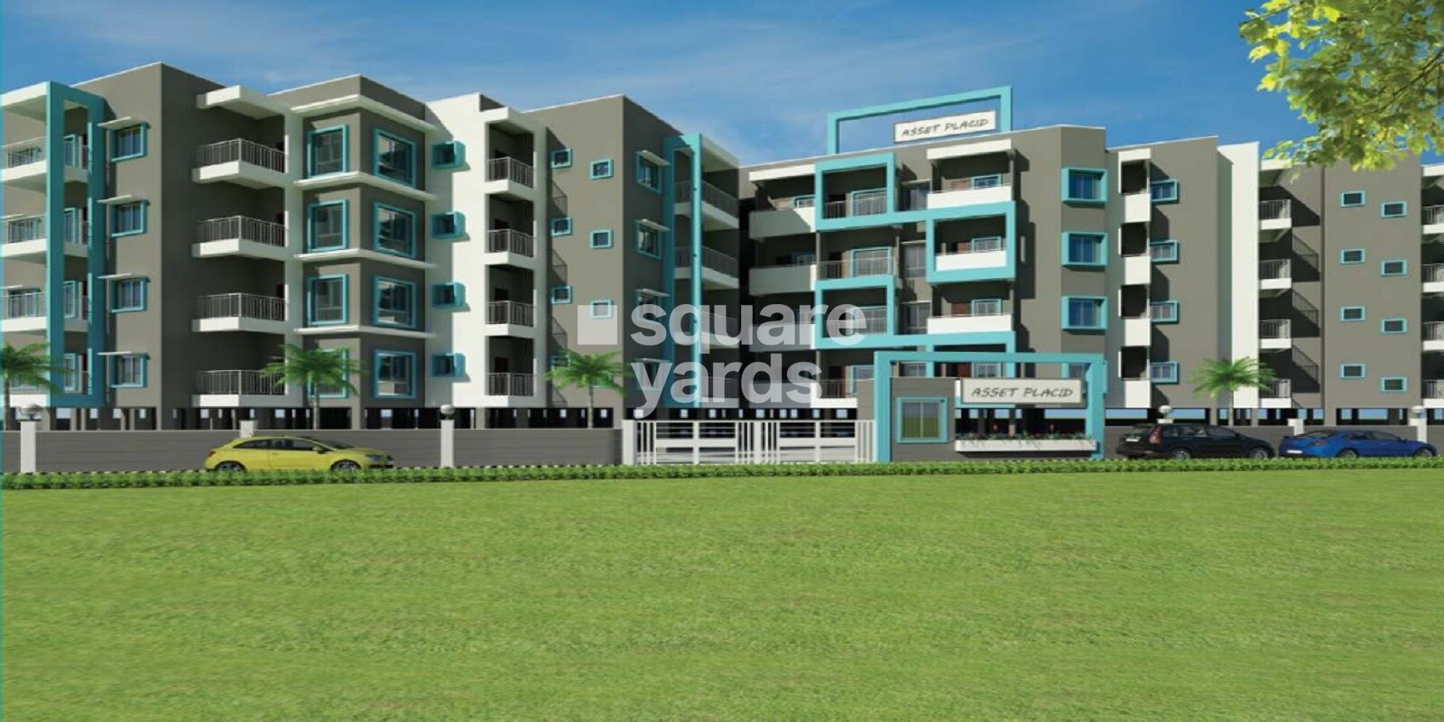 Asset Builders Placid