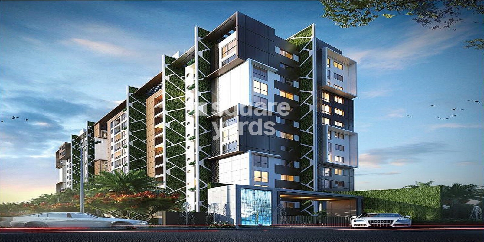Asset Northern Star