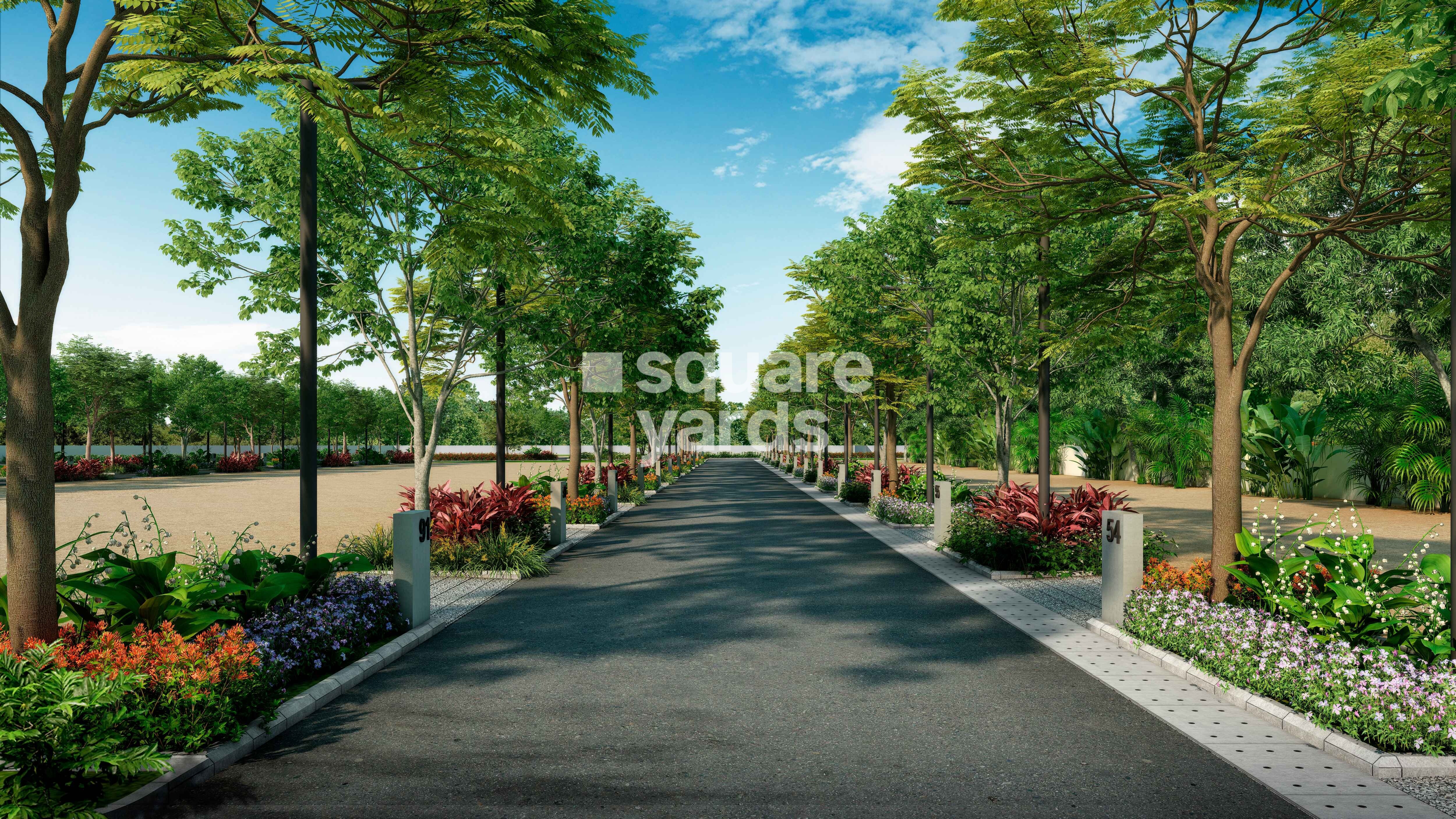 Assetz Atmos and Aura Plots