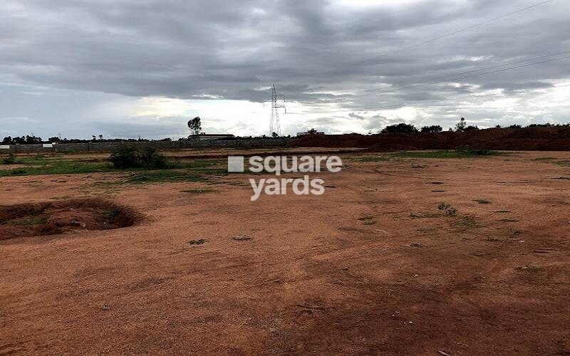 Assetz Atmos and Aura Plots