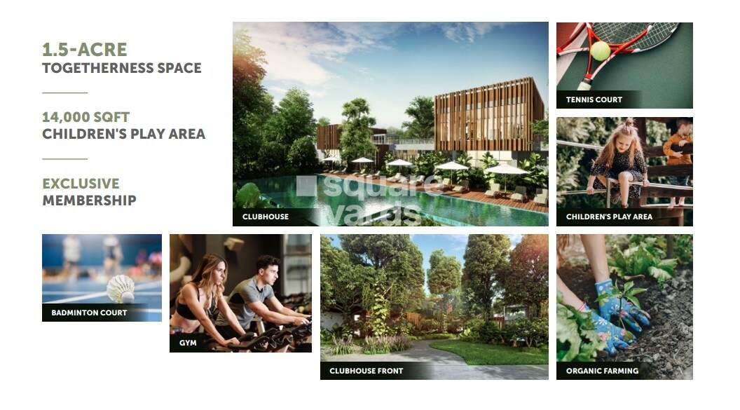 Representative image as actual visual unavailable for Assetz Code Name Nature of You