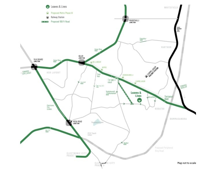 Assetz Leaves And Lives