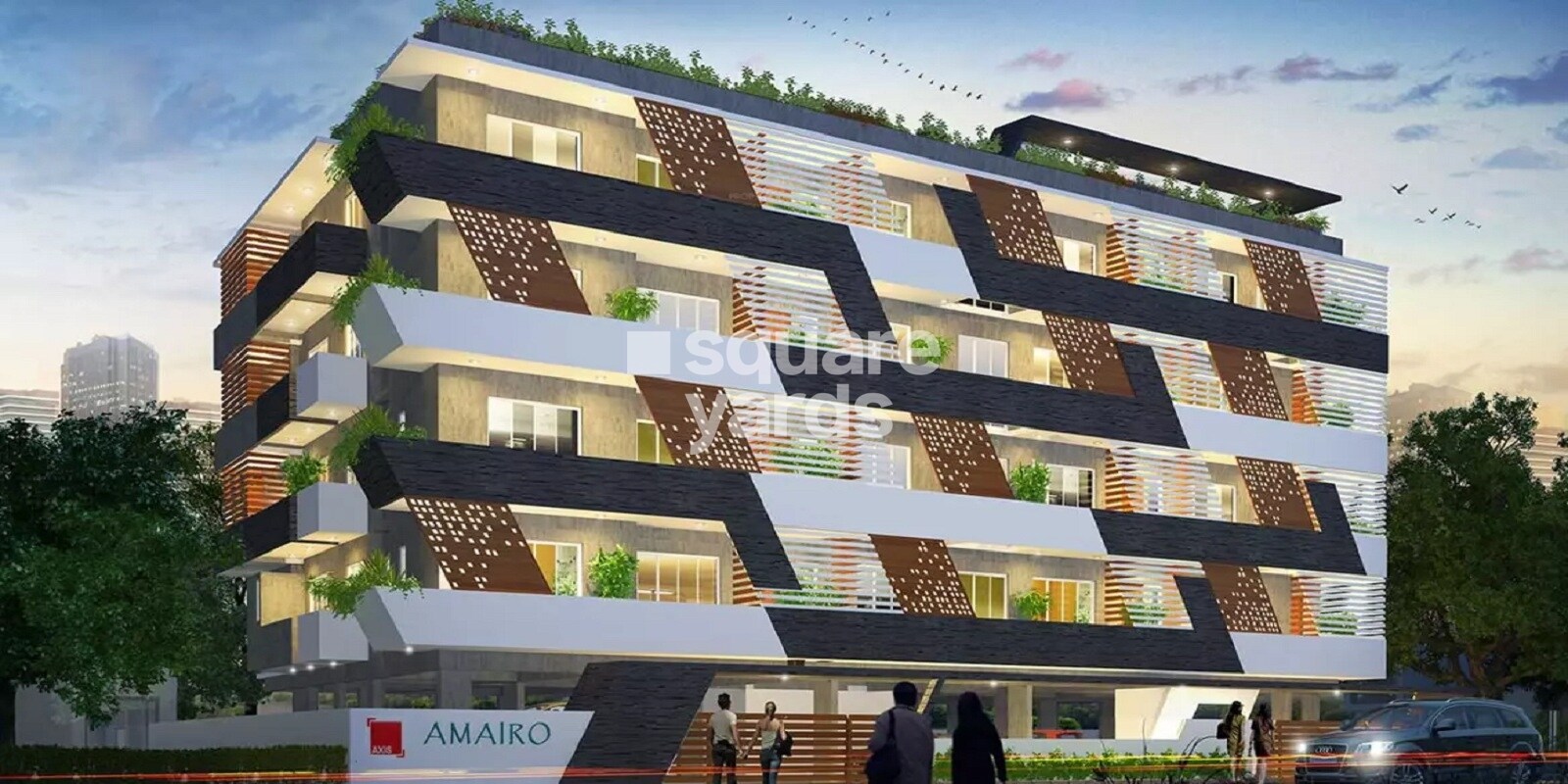 Axis Amairo