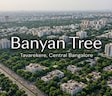 Banyan Tree