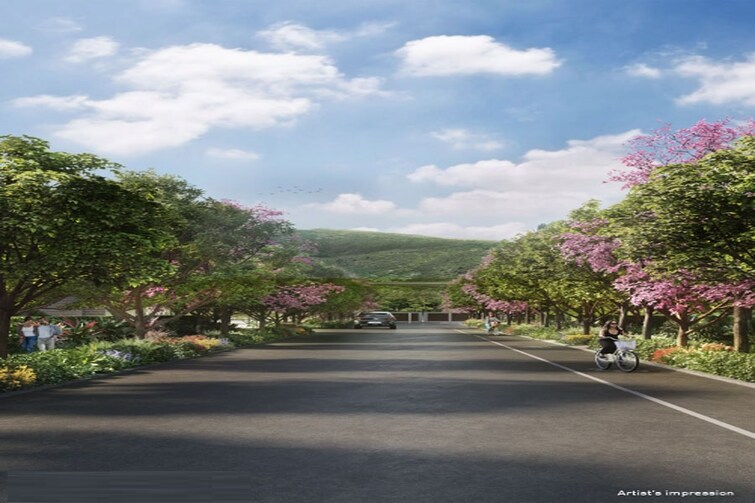 BCD City Amenities-Features 4