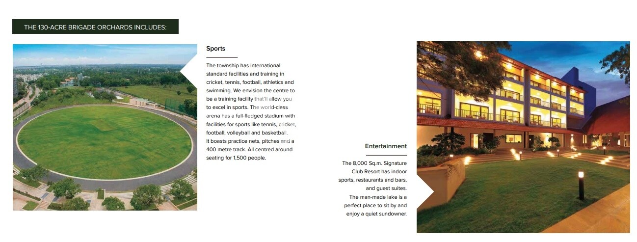 BCV Kino At Brigade Orchards