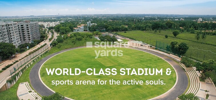 BCV Kino At Brigade Orchards Sports facilities Image