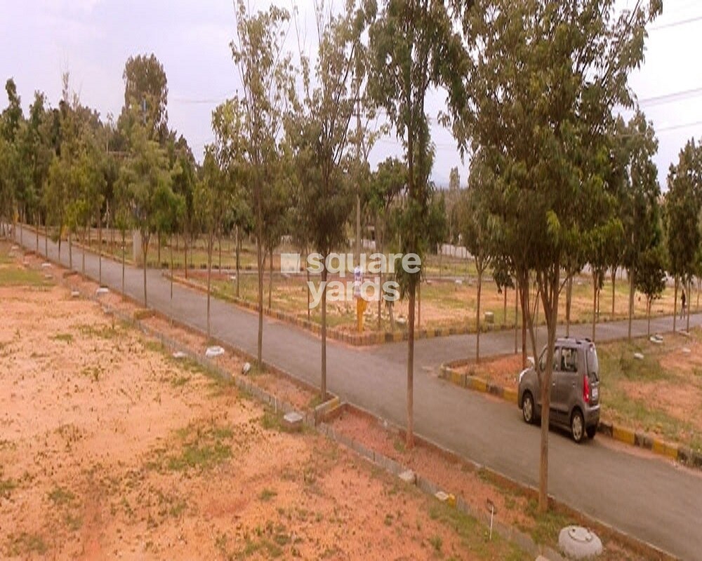 Bhagyashree Riviera Plot