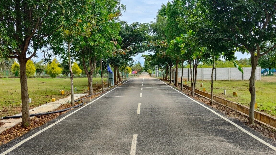 Bhumi Canterbury Meadows