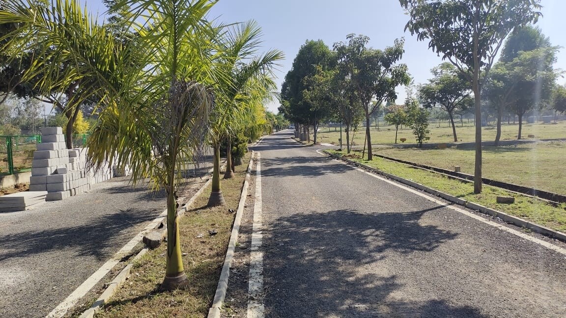 Bhumi Canterbury Meadows