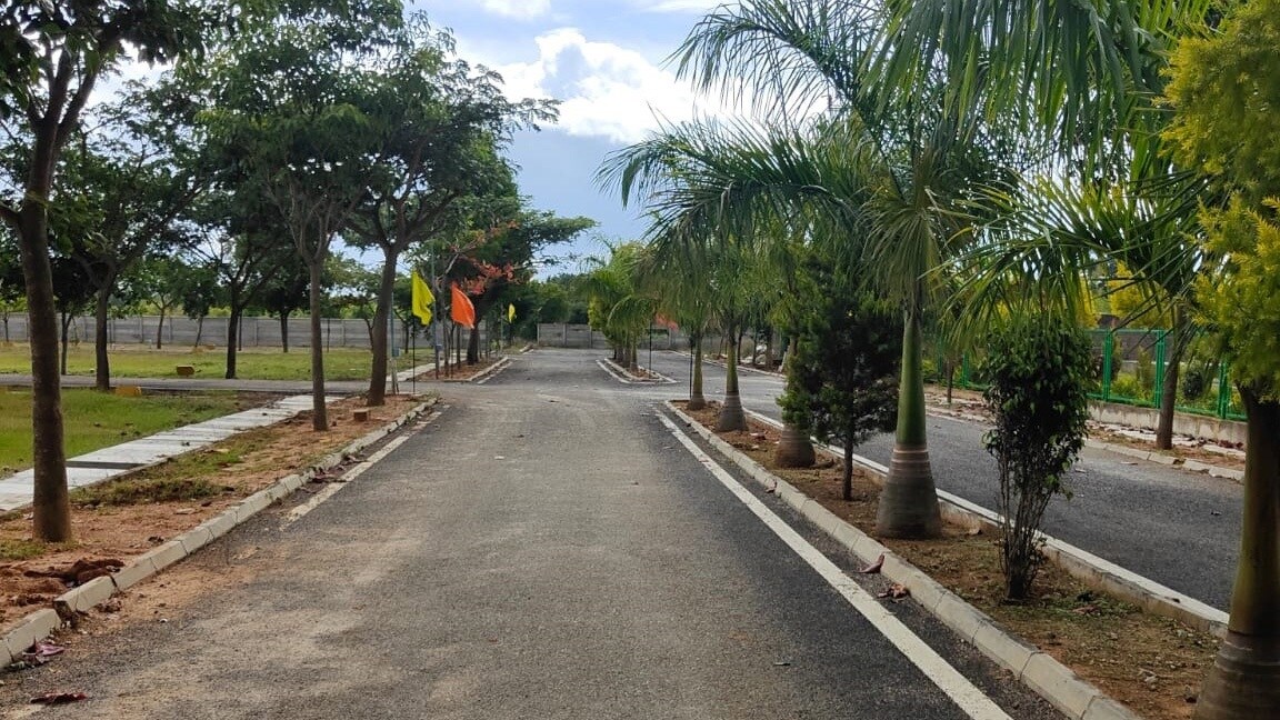 Bhumi Canterbury Meadows