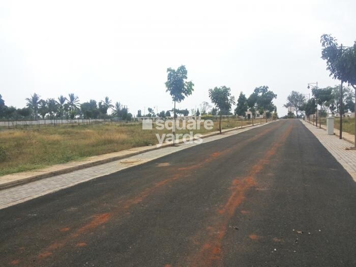 Bhuvana Burgundy Orchards