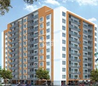 Big Banyan Roots Tower View