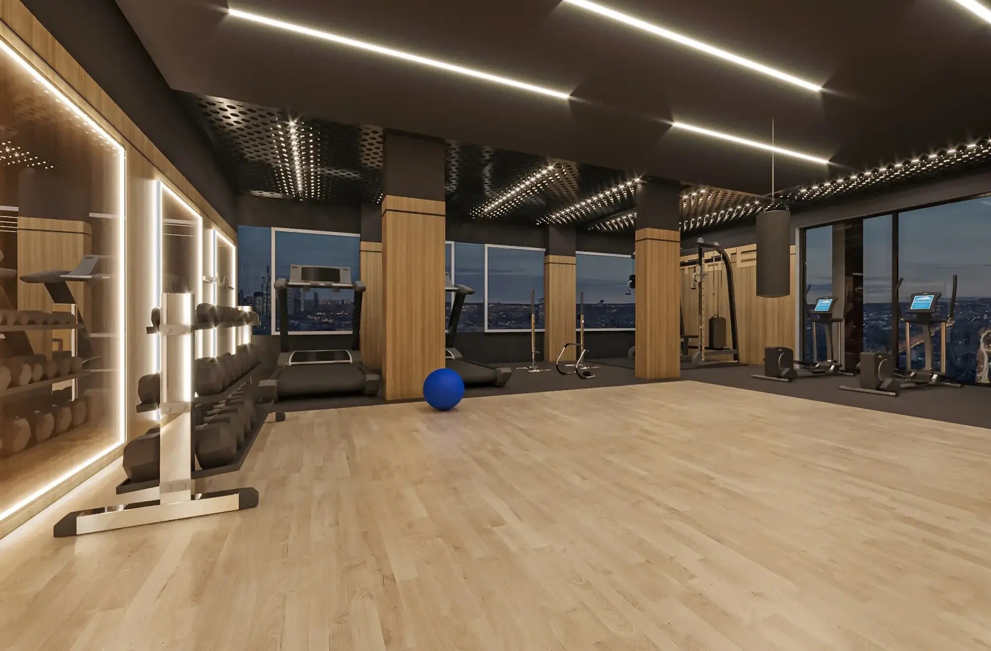 Binary Etania Gymnasium Image