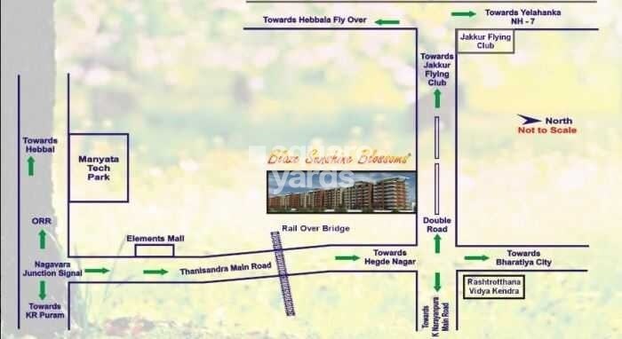 Blaze Sunshine Blossom