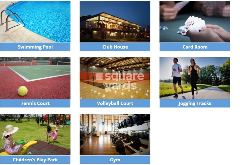 Blue Valley Smilee Celestial