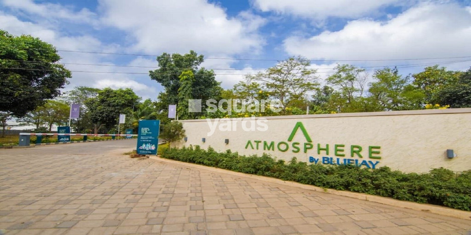 Bluejay Atmosphere II