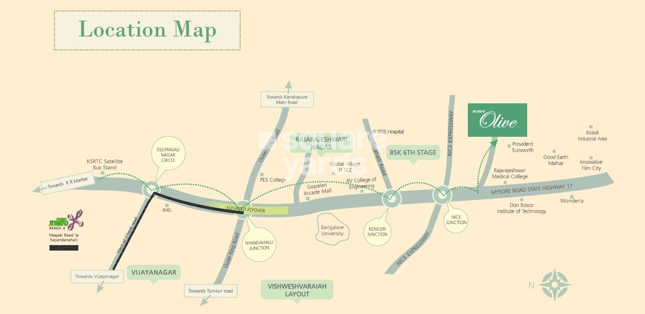 Representative image as actual visual unavailable for Bluejay Olive