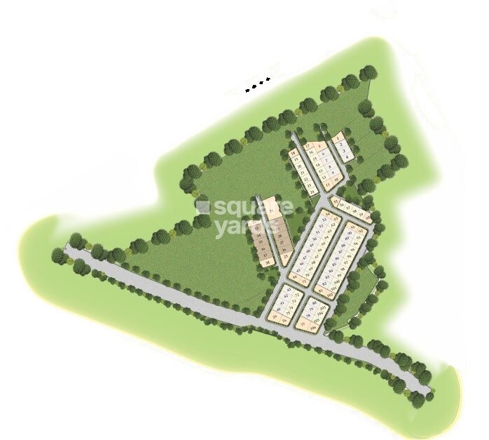 Bluejay Olive Master Plan 1