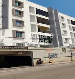 BM Silver Woods BM Silver Woods