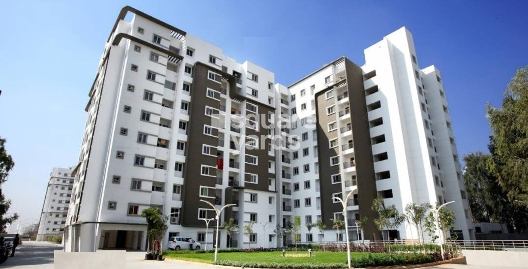 Bren Avalon Tower View