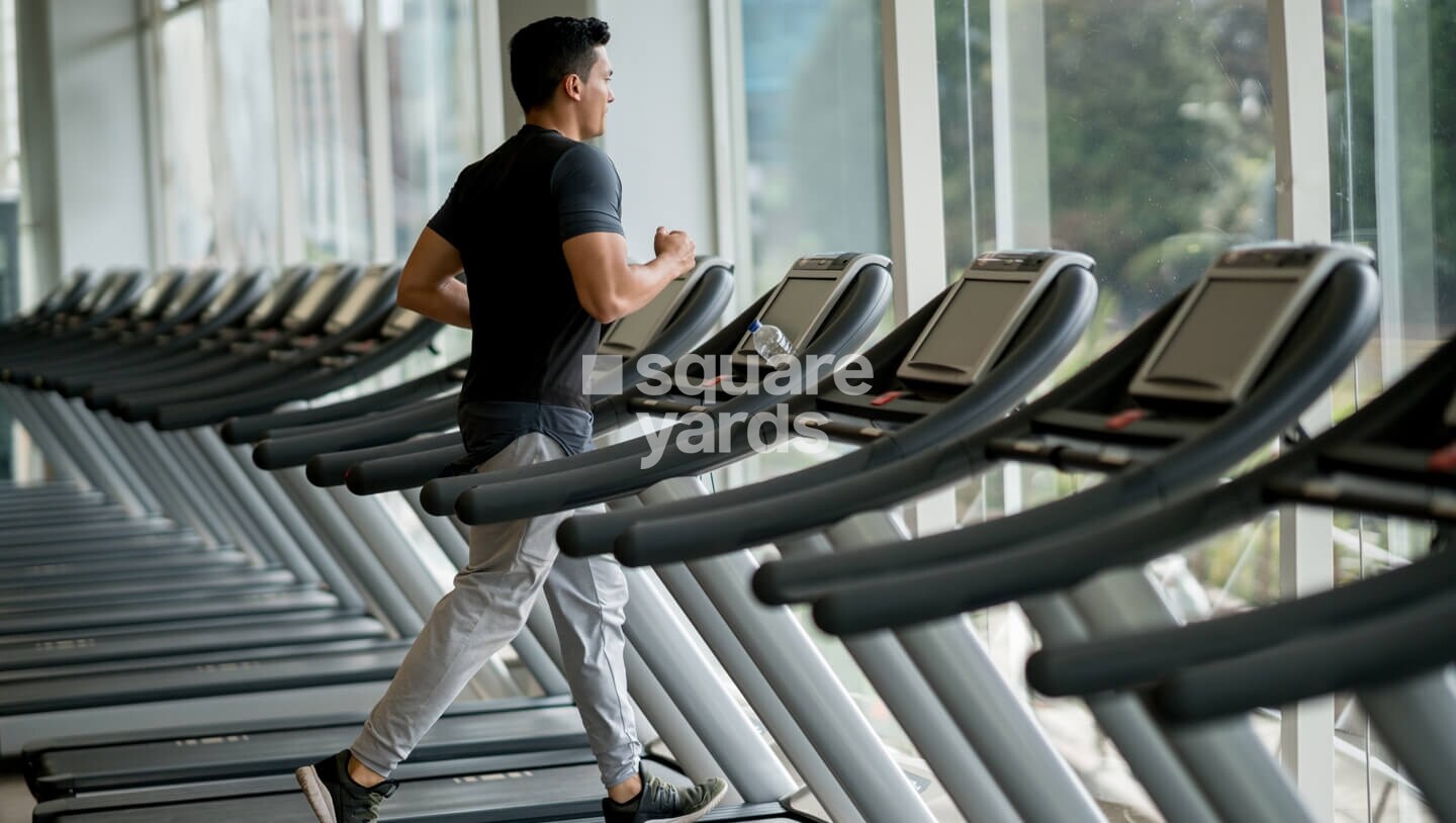 Bren Northern Lights