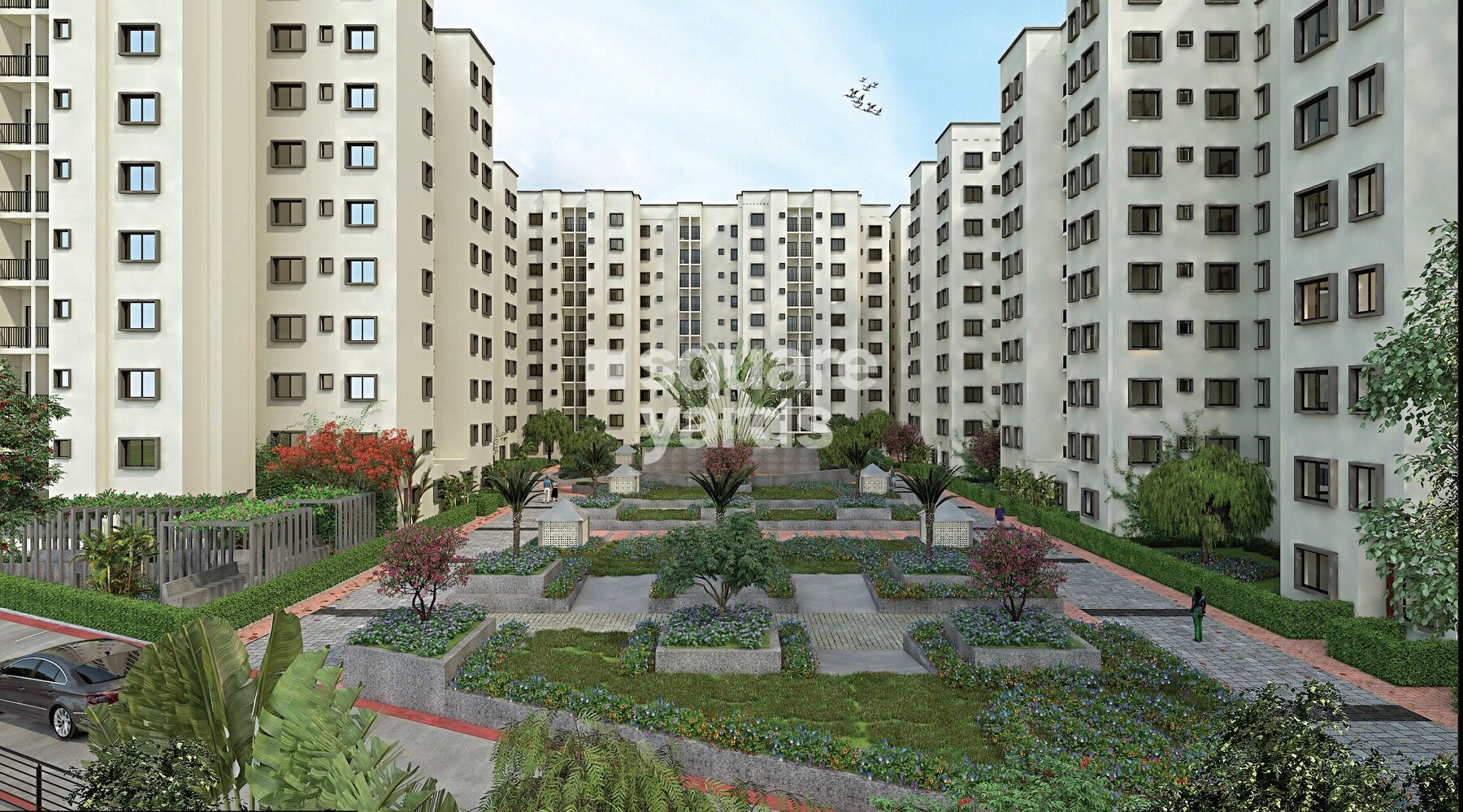 Bren Northern Lights