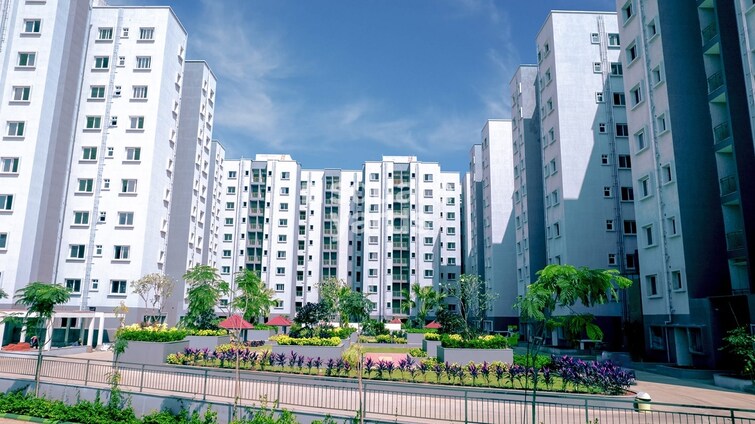 Bren Northern Lights Tower View 2