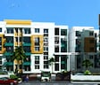 Bren Palms